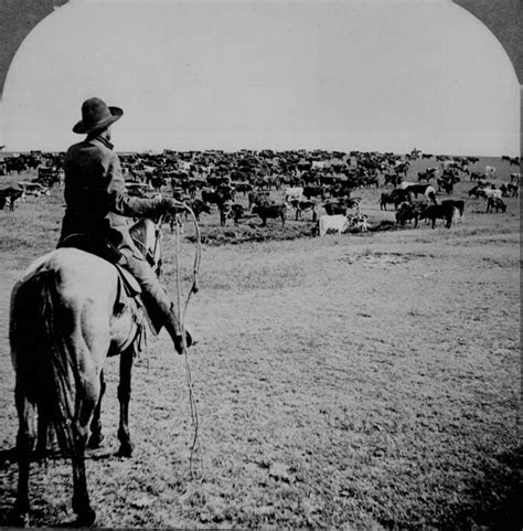 The Life of a Cowboy, an adventurous tale of frontier life starring the enigmatic Ziegfeld!